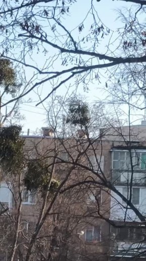 ���������� � �������� ���������� ����� �� ������� �������������� � �������������� ������ ��������