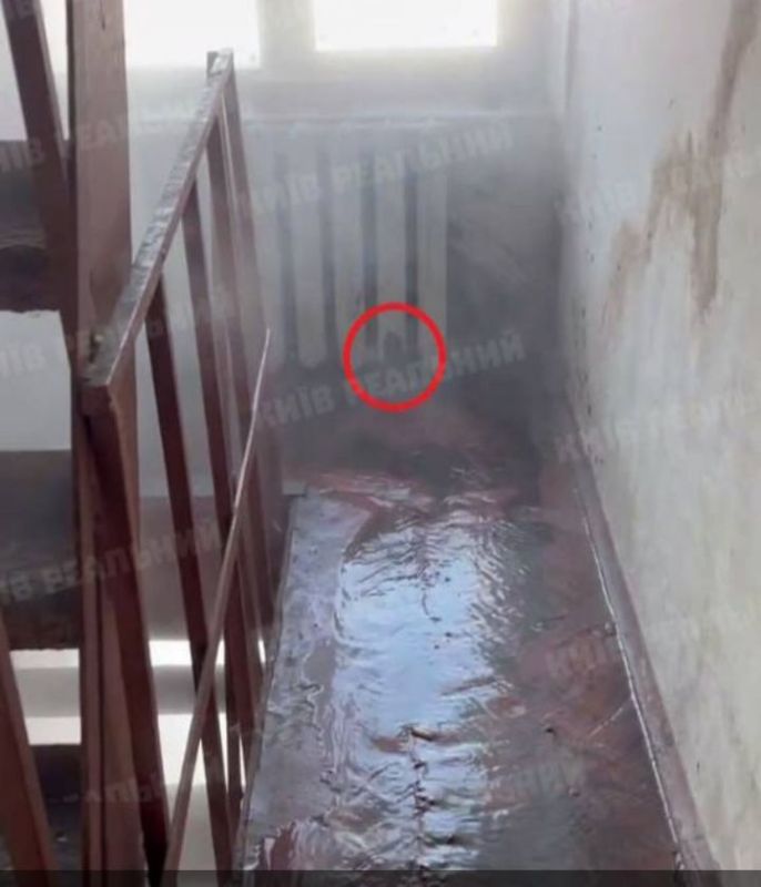 Киев. «Сказать, что наступил кошмар – не сказать ничего»