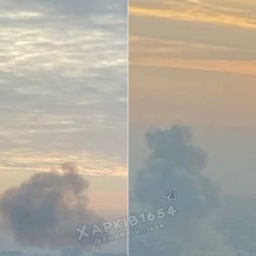 � ���� ������� ����� �������� ����������� ��������� �������