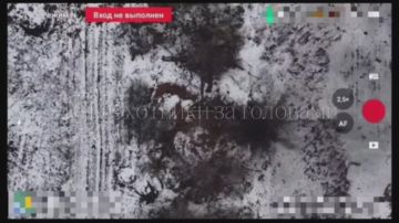 ��������� �������: �� ��������� ����������� ���� ����� ���������� ������� �����