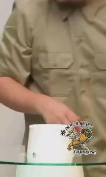 ����������. ���������� ���-���