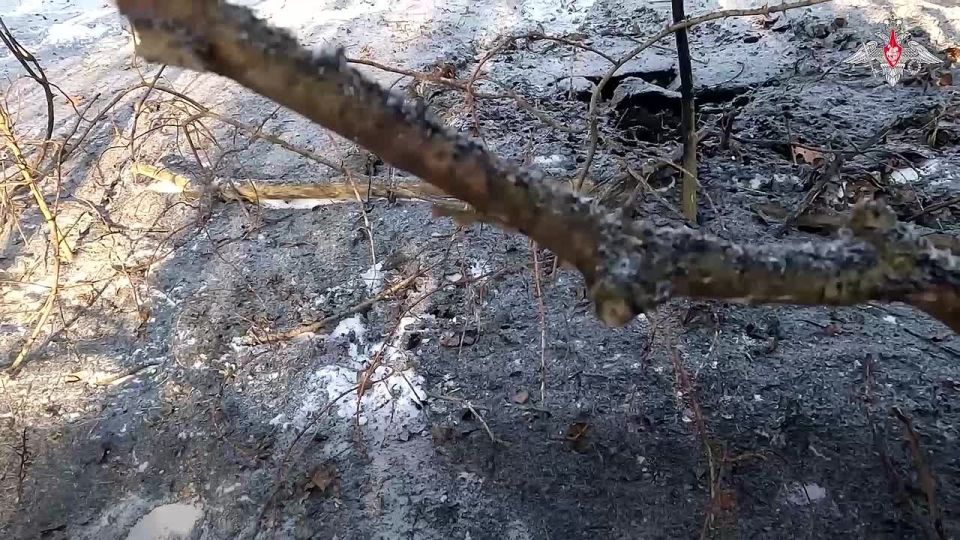 ���������� ������: ������� �������� 44-�� ���������� ������� ����������� ����� ������ �������� ���������� �������� ������������ ���������� � ������������� ����� �� ����������� �����������