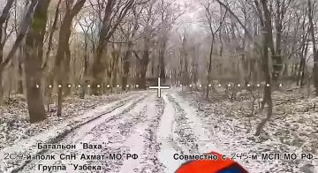 ������ �������: �� ����������� ����������� ������������ �������������� ������ ������ ����� �������������