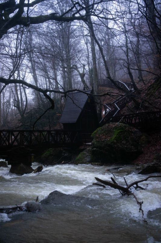 ����������� ����-����.. ���� ��������. 0