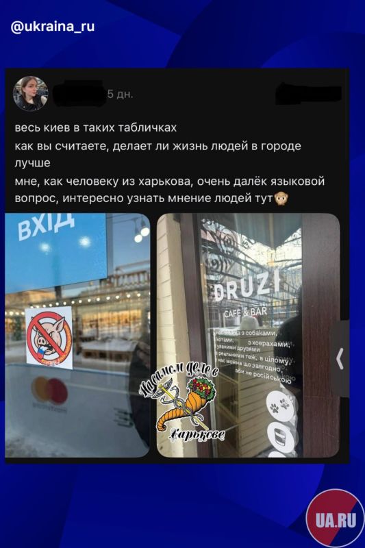 Украинка с удивлением обнаружила гонения на русский язык в Киеве
