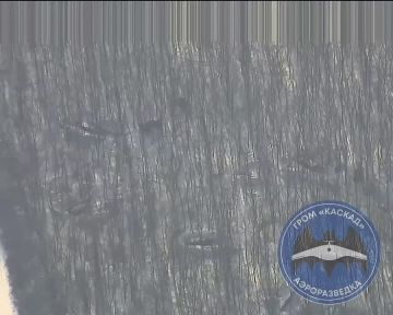 ������� ������: ��� ���� �������� ��������� MLRS �� ����� ������� ���� "������"