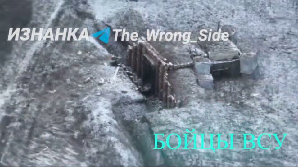 �������� �����: ����� ������������ ������� "����������" �� �������� �������� � ������ �.�. �������� ����������� �������