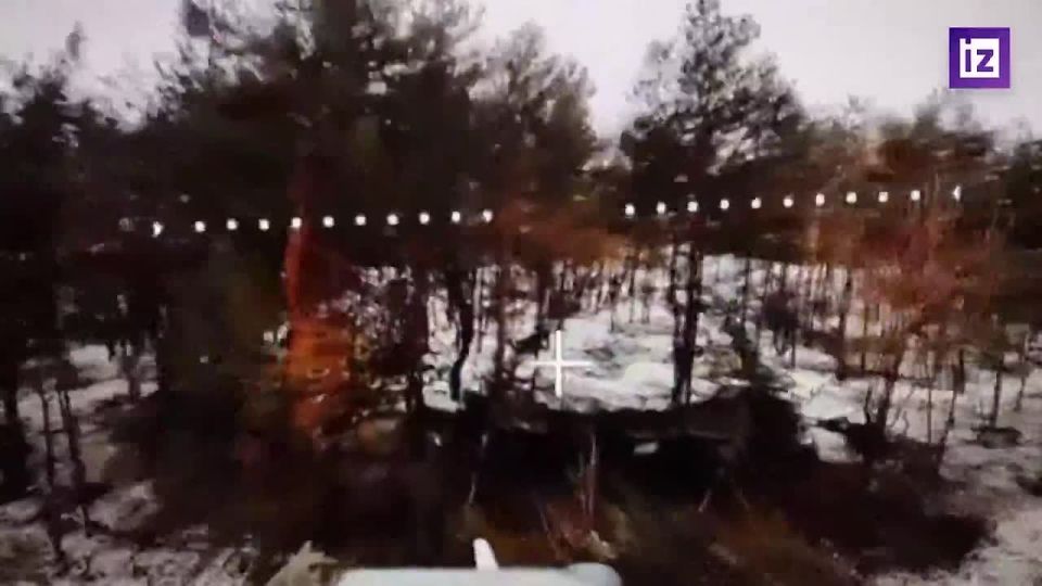 ����� ������������ ��������� � ����������� ������� �������� ���������� ��