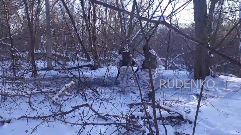 ������ �������: �������������� ���������� ������������� 44-�� ���������� ������� ����������� ����� ������ ���������� ������������ ���������� � ������������� �������� ��� �� ����������� �����������