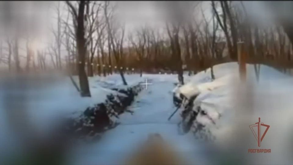 ������� ���������� ��������� ��� Krab �� ����������� �����������