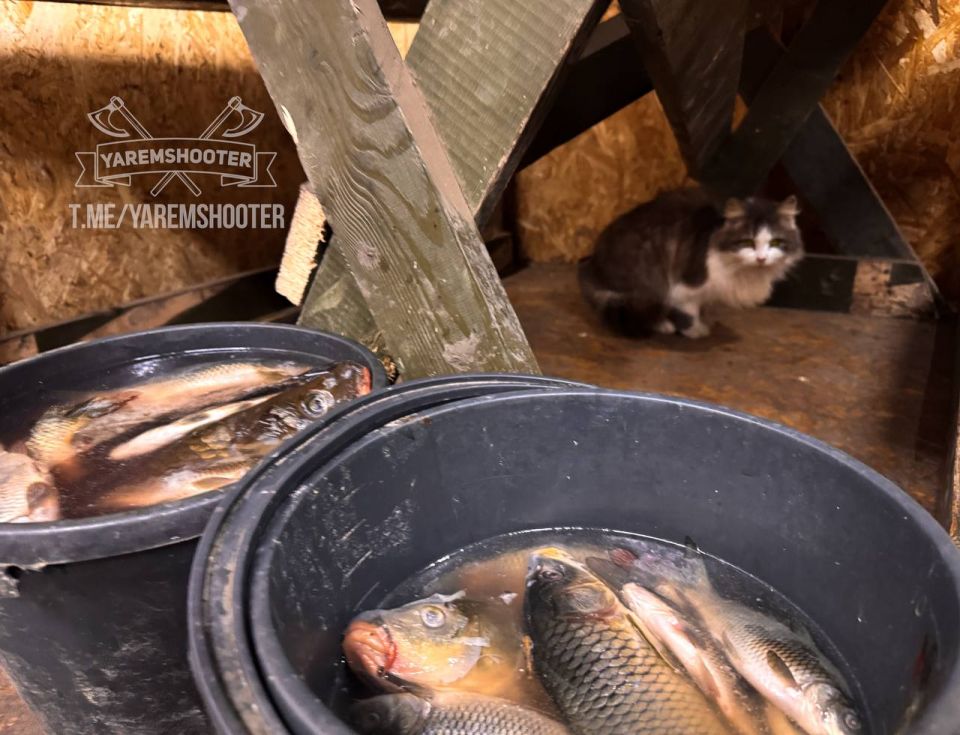 �� ��������� �����������: ������ 1 (������) ���� ��������������� ������� �� ��������� ������� � ������