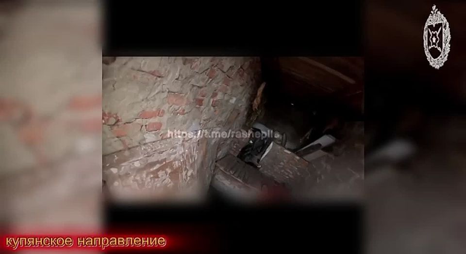 ����� � ���� � ����: ������� � ����� �������!