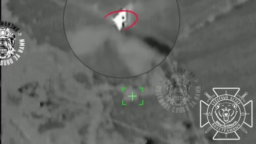 � ����������� ������� ��������� ������ ������������� �������� BV 206 "����"