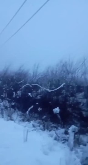 � �������� �� �� ����������� ������ ������� ��� ������� �������� ������