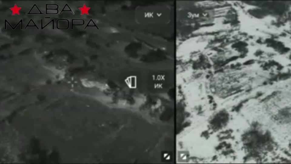 ��� ������: ����������� �����������. ��������� ���� 83-�� ��������������� ����� ������� ������� ������ ������