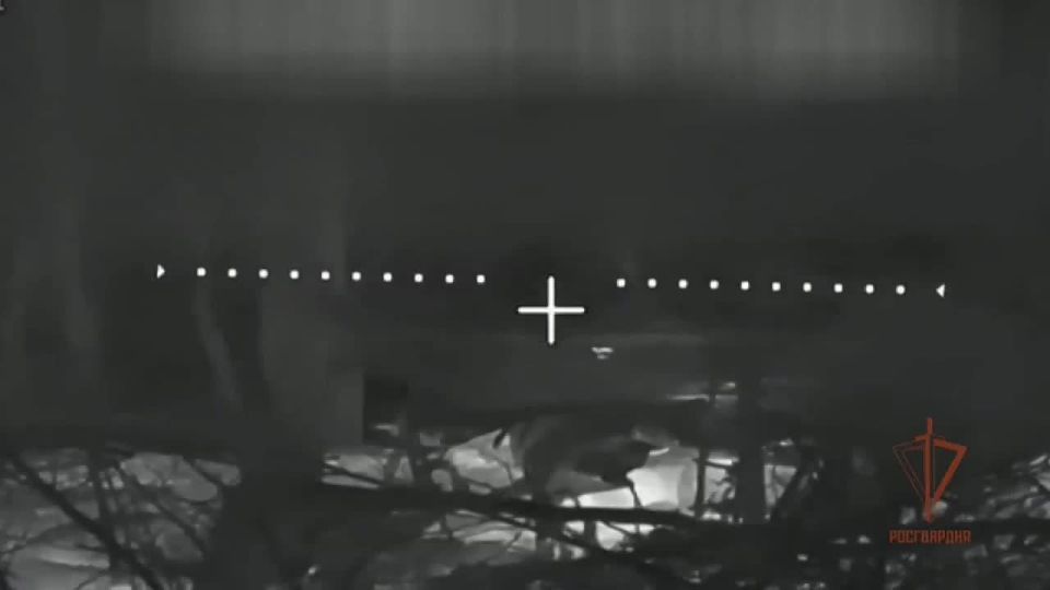 Серией точных ударов: операторы БПЛА Росгвардии уничтожили САУ противника на харьковском направлении