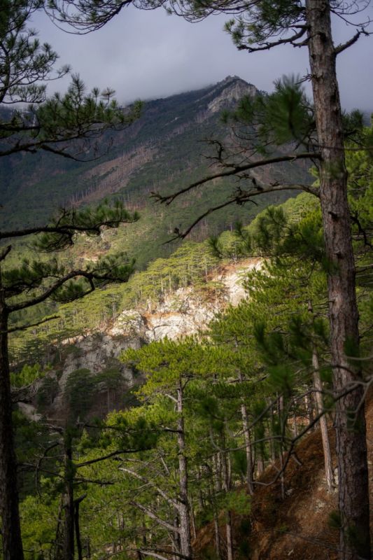 ������������ ������ ����� � ��-��� � ������ ����