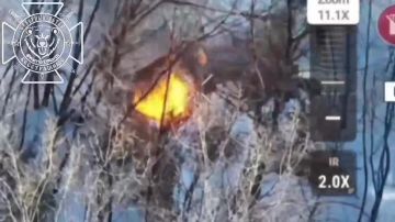 ������ ����� �� ������� � ������� ����������� ��� � ���������� � ����������� �������