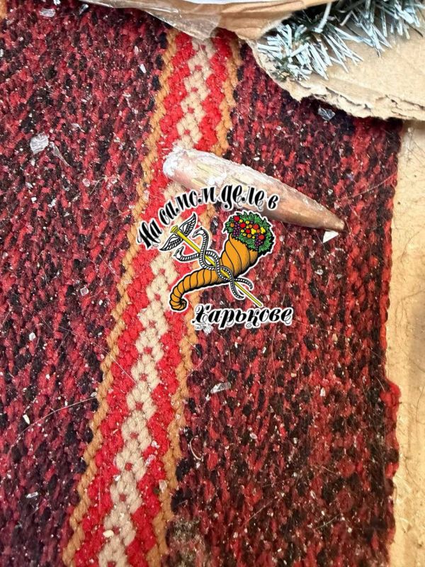 Вот такие "подарочки" харьковчане находят у себя в квартирах после работы "ПэПэО"