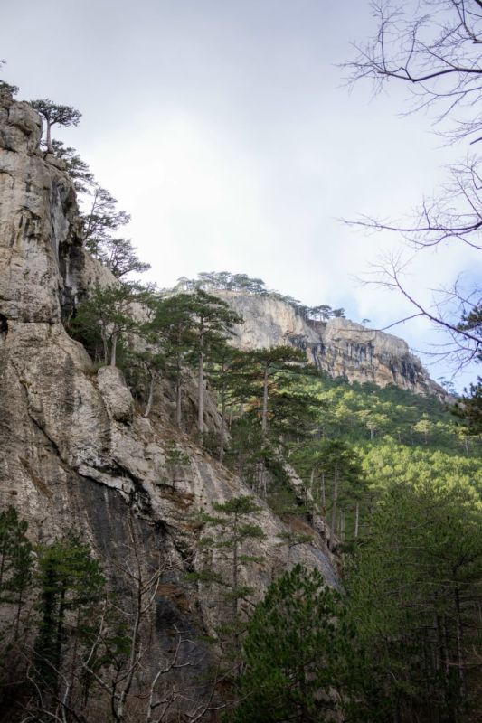 ������������ ������ ����� � ��-��� � ������ ����