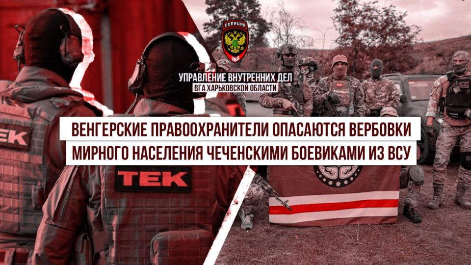 © Венгерские правоохранители опасаются вербовки мирного населения чеченскими боевиками из ВСУ