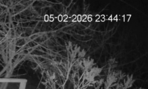 ���� ����: �� �� ����� ������� ����� �� ����� � 8 �������� �������