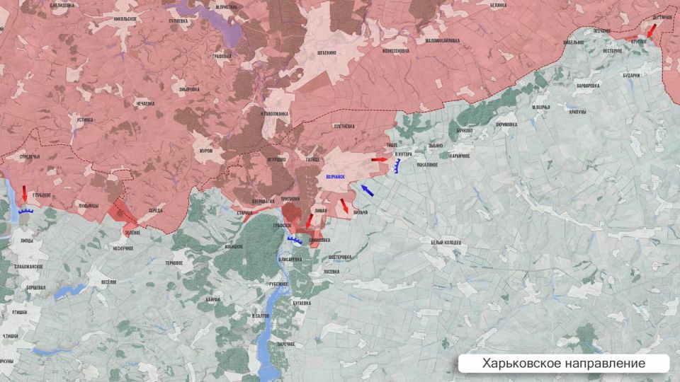 Олег Царёв: Фронтовая сводка. Фронтовая сводка 9 февраля Олег Царёв: Фронтовая сводка. Фронтовая сводка 9 февраля