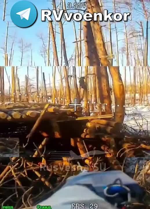 Бои у Купянска: разведка уничтожает артиллерию врага