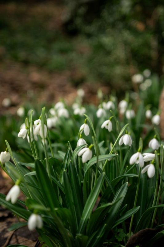 �������� ���������� � ������������ ������ � ������