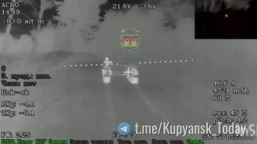 ��������� �����������. ����������� ��������������� ��������� ���