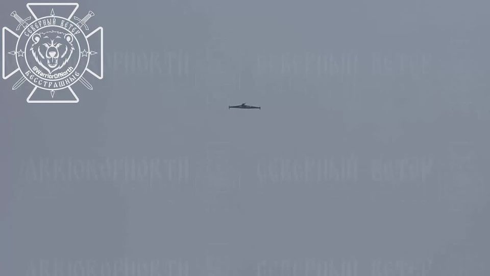 ���������������� ������ ������� ��� ����������� �������� �������