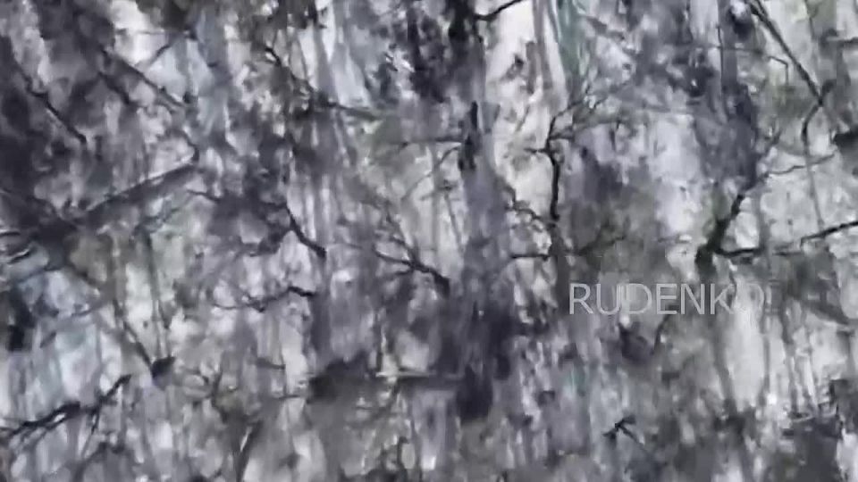 Андрей Руденко: Кадры объективного контроля уничтожения тяжёлых боевых квадрокоптеров R-18 и разведывательных БпЛА ВСУ операторами FPV-дронов войск беспилотных систем в составе группировки войск «Запад» в Харьковской области