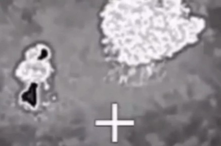 �� ������ �������. ��� ��������� �� �� ���������� ����� ��������