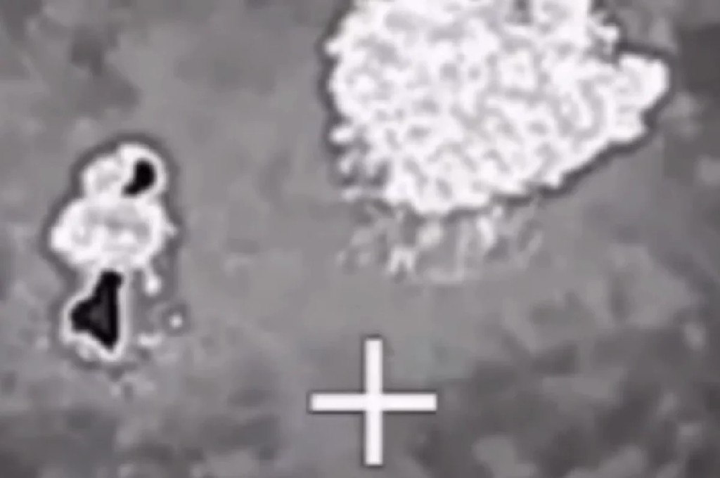 Не успели сбежать. Под Харьковом ВС РФ уничтожили отряд Буданова