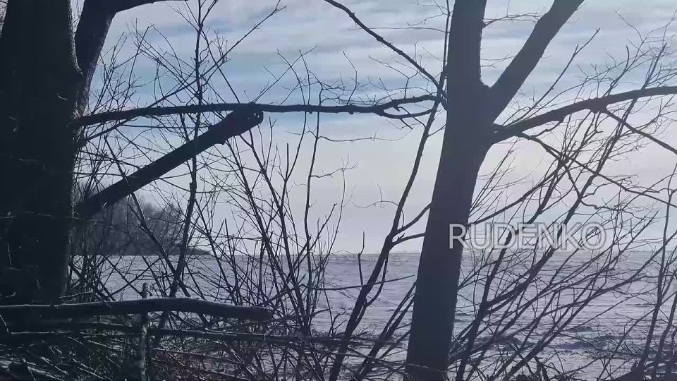 ������ �������: ������� ����������� ������ �-46 44-�� ���������� ������� ��� ������ ��� ���������� ������� ����� ���������� ������� ������� �������� � ��������� ����� ���� ��� � ����������� �������