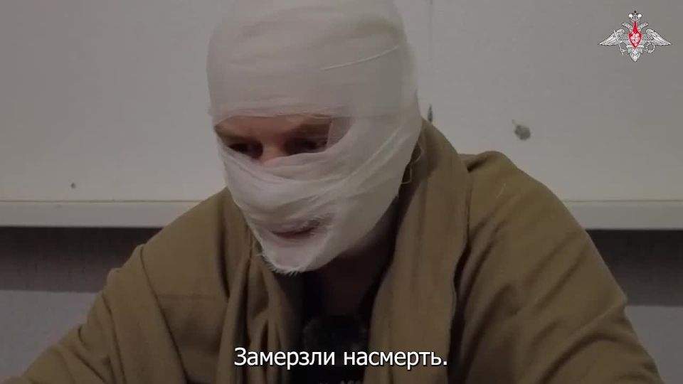 �������� ����� � ��������-��������: �������� ��������� � ������ � ������ �� ����