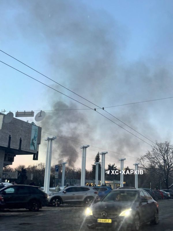 ������� ����� � ���� ��������