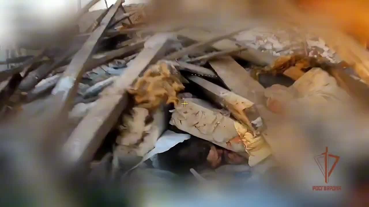 Операторы дронов 116-й бригады Росгвардии уничтожили ДРГ противника в Харьковской области