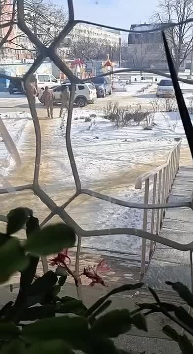 ��������� ����� ��������� �� ���� ��� ����