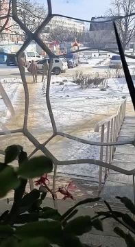 ��������� ����� ��������� �� ���� ��� ����