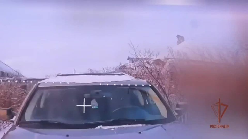 ���� ����� ���� ��������: ����� ���������� ���������� ���������� ������� ��� �� ����������� �����������