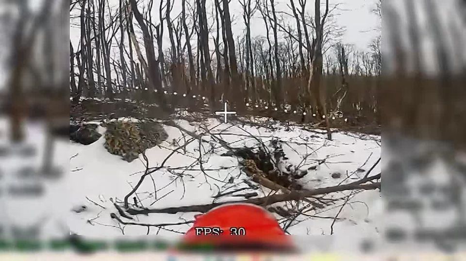 ���������� �� �������. ��� ����������� ������� � ����������, ����������, ������ �� ����������