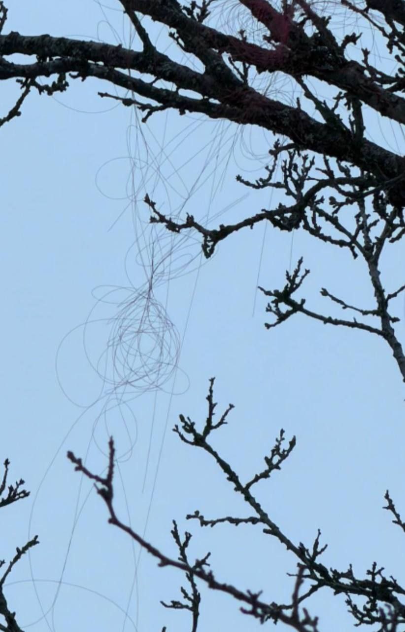 Русский дрон, работающий на оптоволокне, долетел до Харькова Русский дрон, работающий на оптоволокне, долетел до Харькова