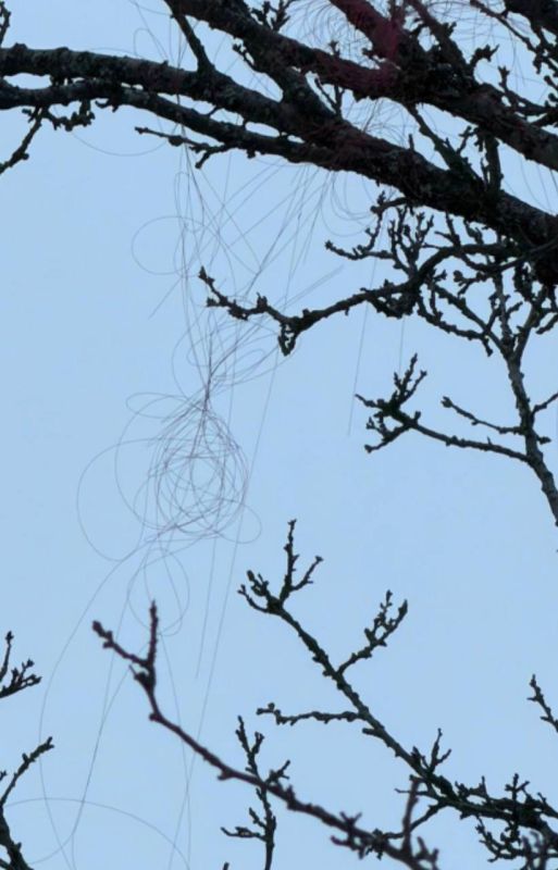 ���� ��������: FPV-����� �� ����������� ������ �������� �� ��������, ������� �������� �������� ������� ������