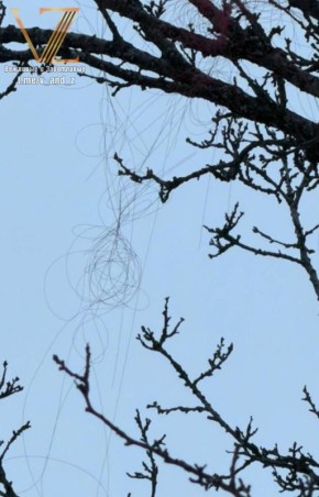 ������� ����� �� ����������� ��� ��� ���������: � ��� ��� ������