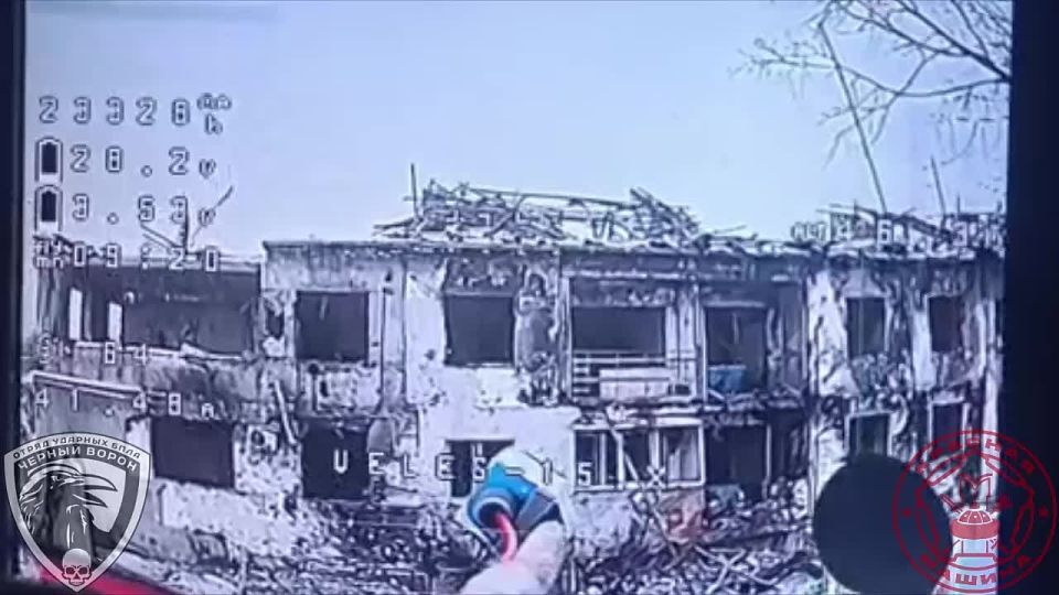 ������ ��������� ������ ������� ���� �׸���� ������ 3-� �������������� ������� 20-� ������������� �����