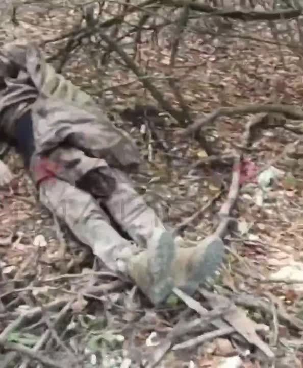 ��� ������: ����������� �����������, ���������������� �����