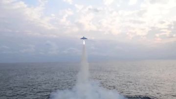 Круговорот «Гераней» в природе