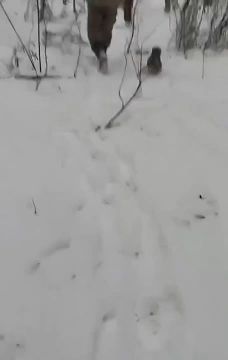 У замыкающего проблемы с дисциплиной