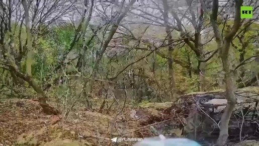 �������� ��������. ���� ������ �� ��������� ����������� � ������� ������ �������� ����������� ����� ������